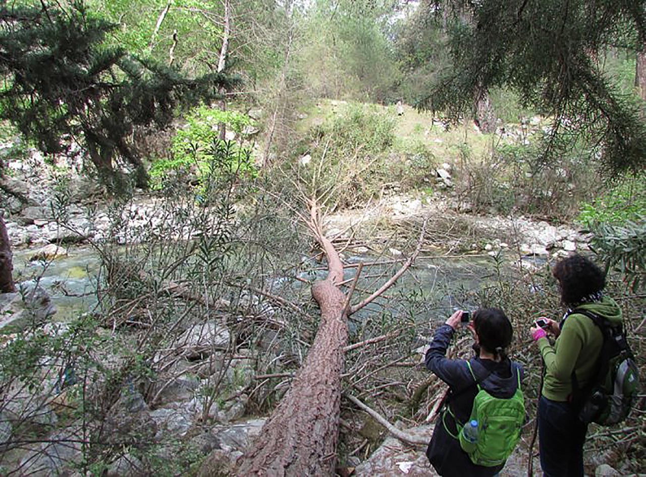 Lykischer Weg 7 Tage Wanderung von Antalya bis Cirali