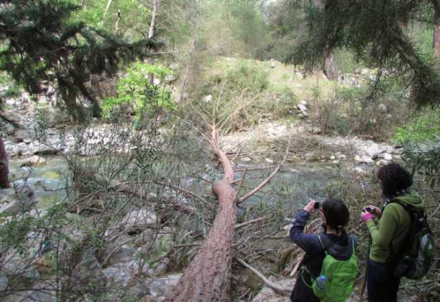 Lykischer Weg (Çıralı - Adrasan)