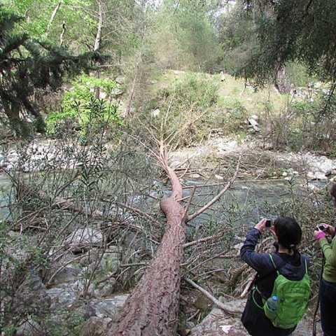 Lykischer Weg (Çıralı - Adrasan)